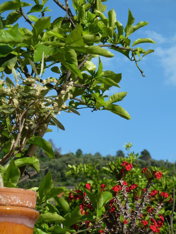 A Durmi Hotel เลวานโต ภายนอก รูปภาพ