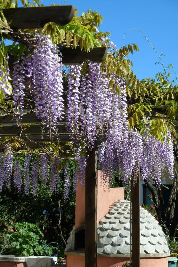 A Durmi Hotel เลวานโต ภายนอก รูปภาพ